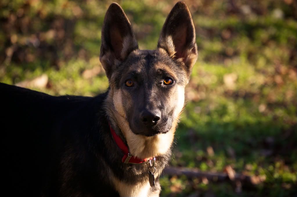 IMAGE: http://i128.photobucket.com/albums/p193/M715/DSC_0149.jpg