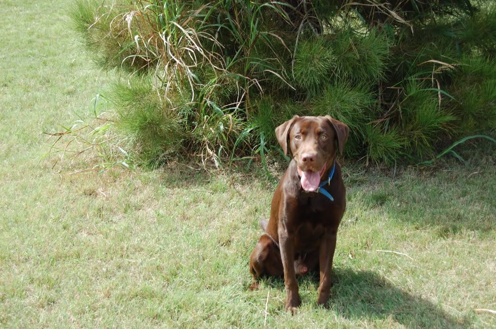 IMAGE: http://i128.photobucket.com/albums/p193/M715/DSC_0243.jpg