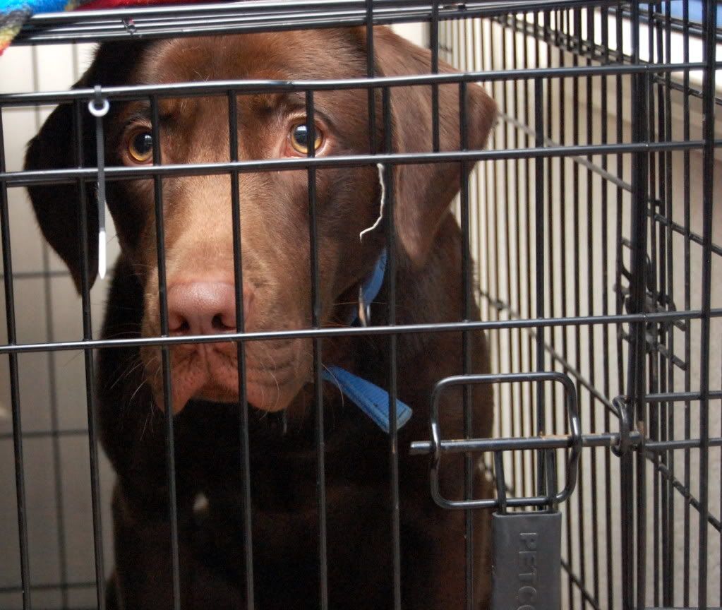 IMAGE: http://i128.photobucket.com/albums/p193/M715/DSC_0260-1.jpg