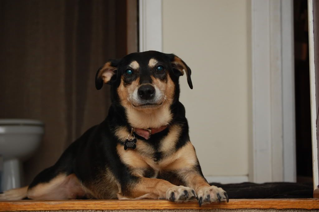 IMAGE: http://i128.photobucket.com/albums/p193/M715/DSC_0276.jpg