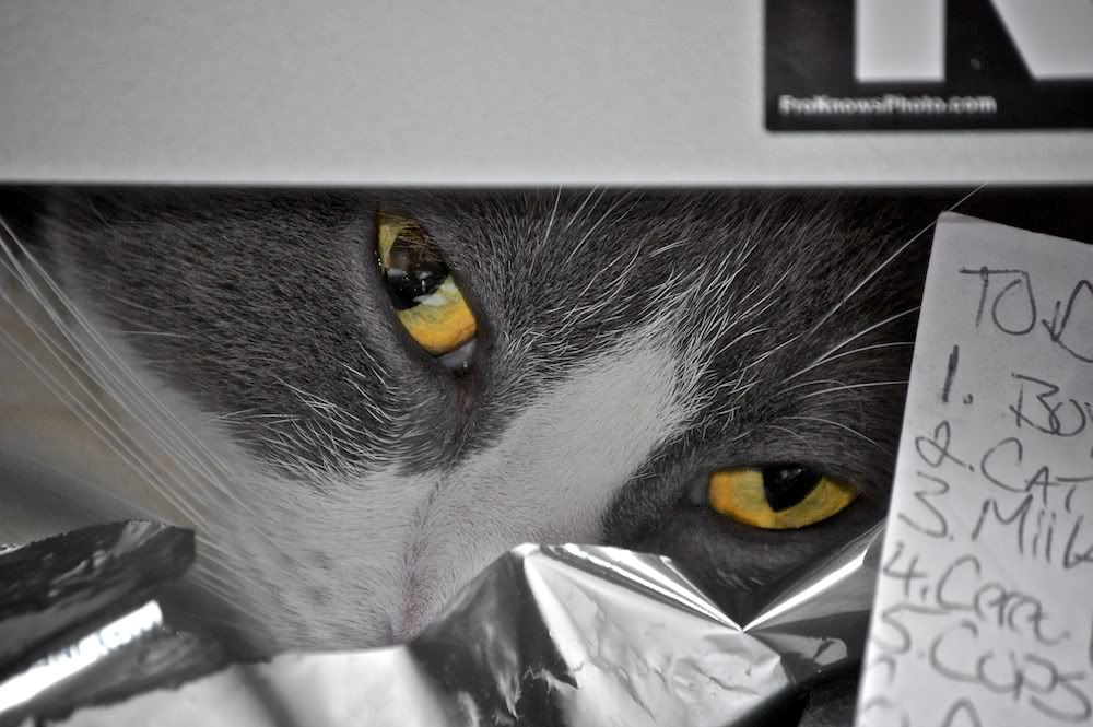 IMAGE: http://i128.photobucket.com/albums/p193/M715/DSC_0396-2011-03-15at17-59-411.jpg