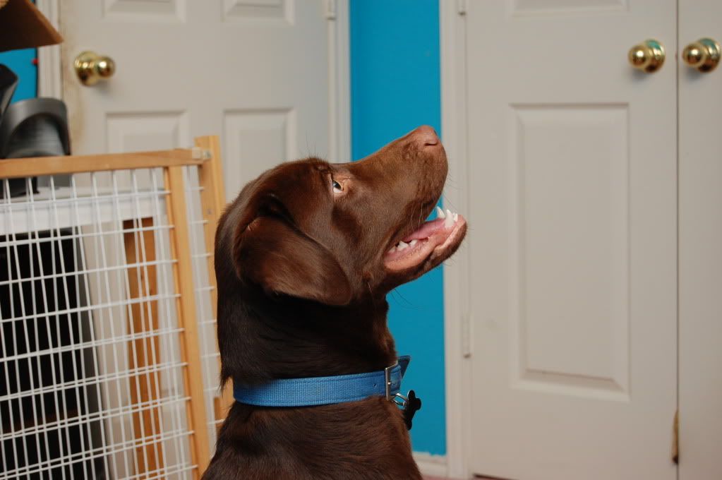 IMAGE: http://i128.photobucket.com/albums/p193/M715/DSC_0794.jpg