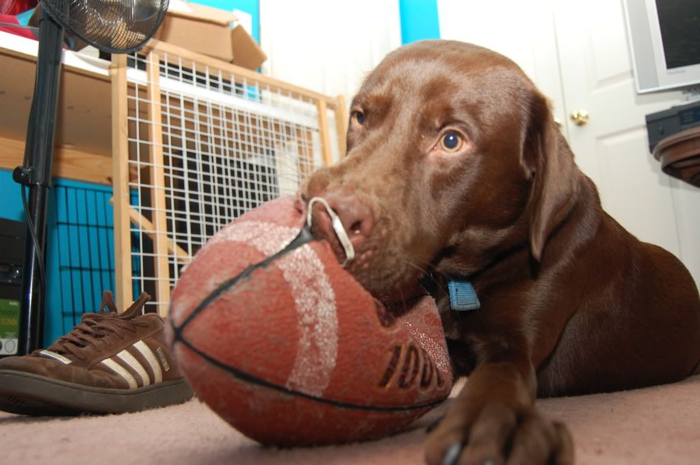 IMAGE: http://i128.photobucket.com/albums/p193/M715/DSC_0844.jpg