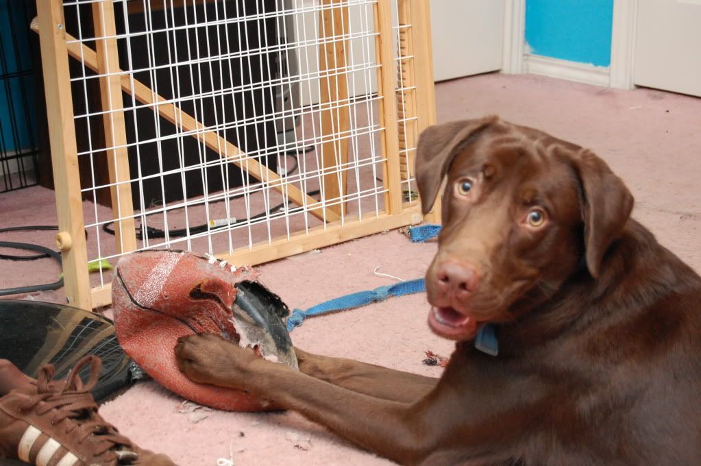 IMAGE: http://i128.photobucket.com/albums/p193/M715/DSC_0880.jpg