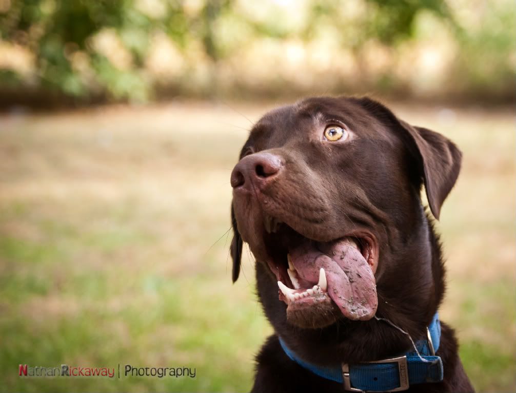 IMAGE: http://i128.photobucket.com/albums/p193/M715/June%202010/watermarked/DSC_0017-2-2.jpg