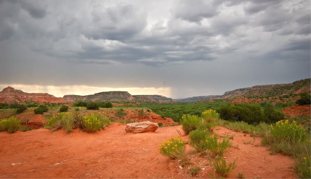 IMAGE: http://i128.photobucket.com/albums/p193/M715/Palo%20Duro%202010/DSC_0324-1-1.jpg