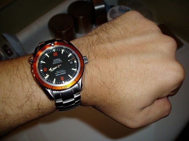 P1010038.jpg