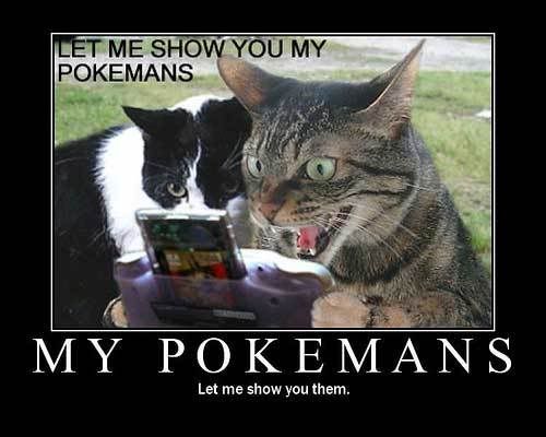 CatPokemans.jpg