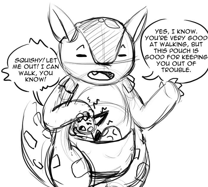 Safe Pouch