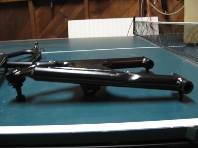 StockAarmsand6swingarm004.jpg