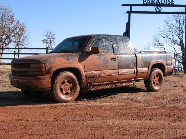 Mudpics3-23-06001.jpg