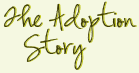 The Adoption Story