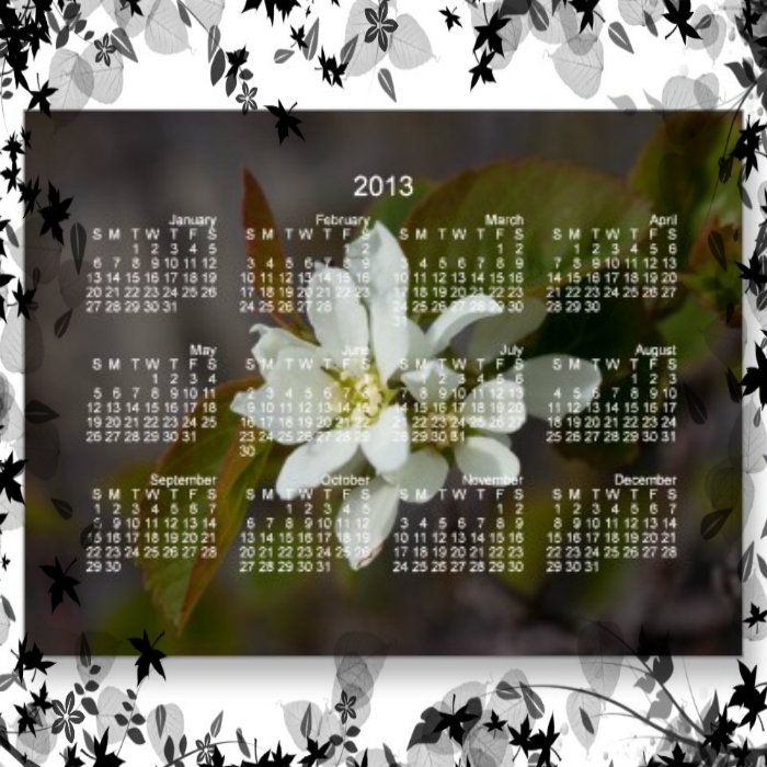 dicflor_blanca_con_calendario