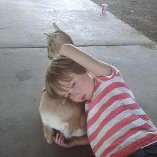 Some cute pics - Goats