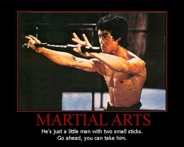 Demotivational Posters for Martial Artists