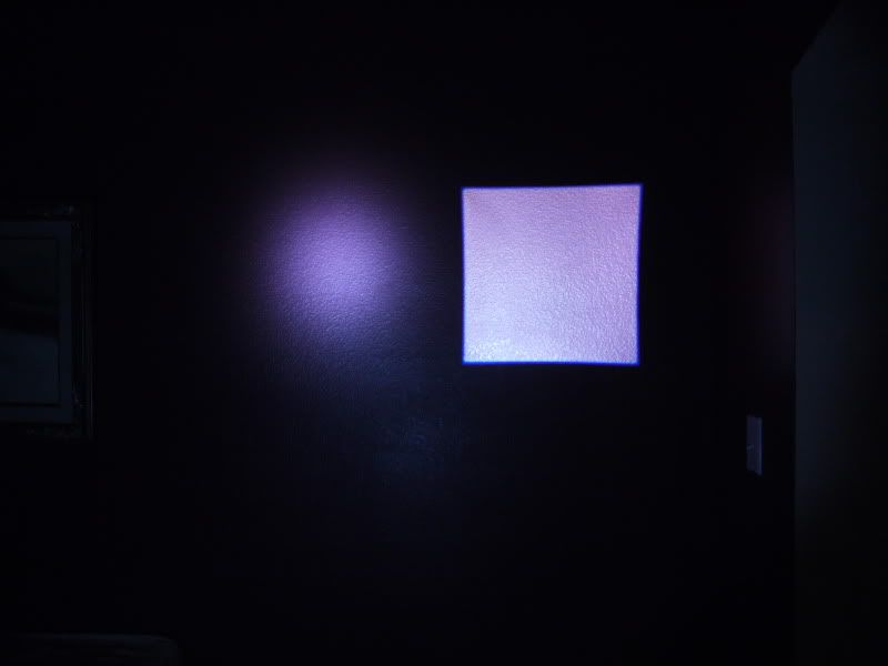 P1010312.jpg