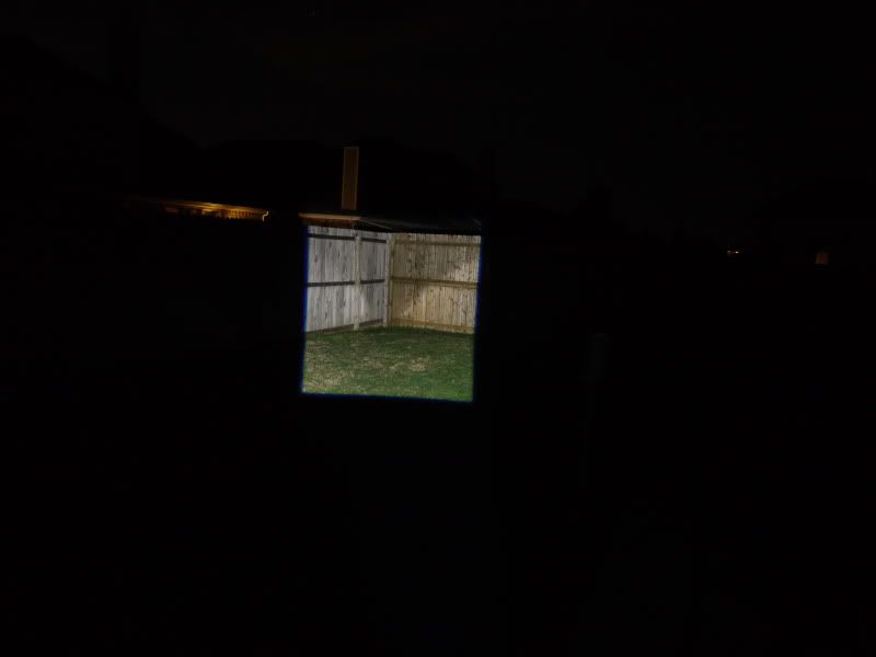 P1010317.jpg