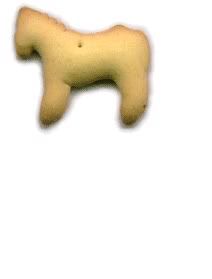 animal cracker Pictures, Images and Photos