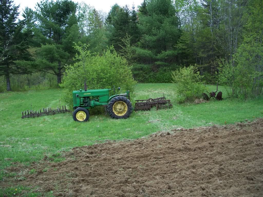 If you could get any old tractor you wanted - Homesteading Questions