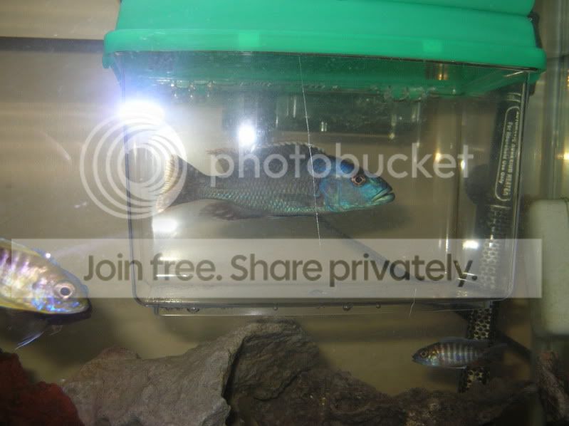 Fish tank lovers come in Fish tank lovers come in