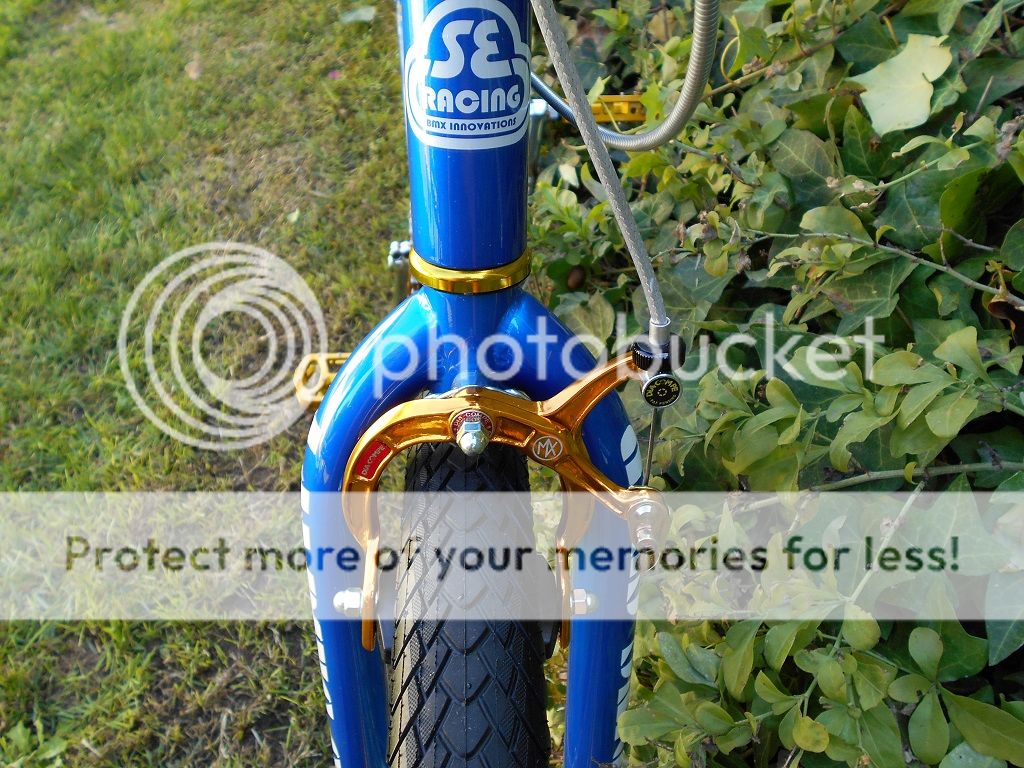 2013 SE Racing Big Ripper 29 - BMXmuseum.com Forums