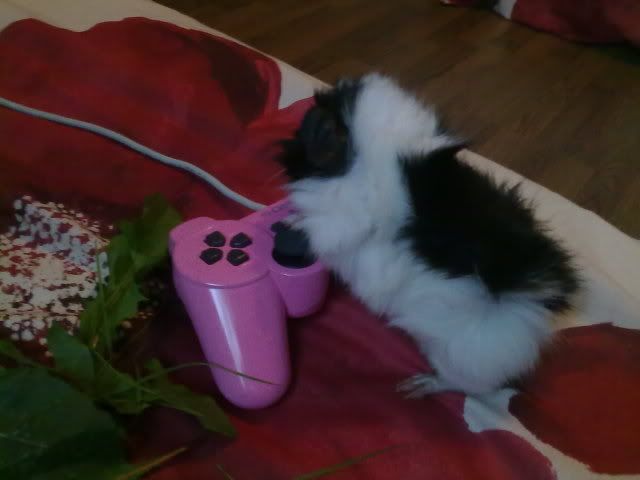 010820103213.jpg