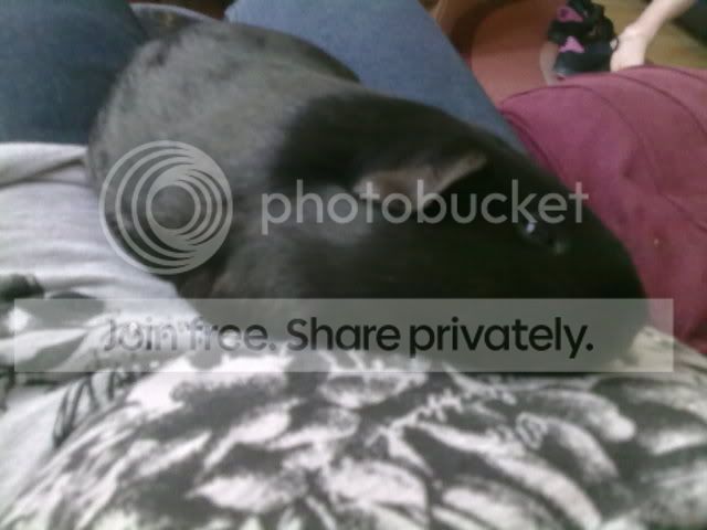 030620102769.jpg