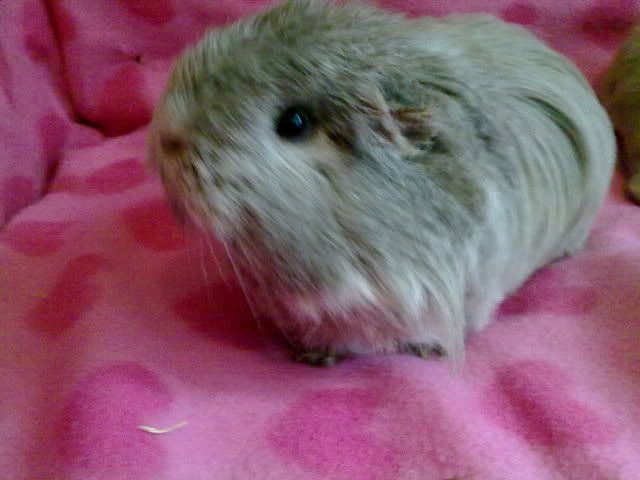 031020103689.jpg