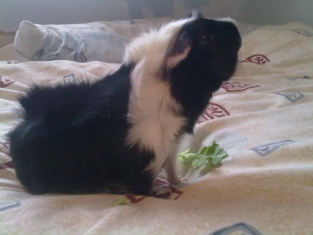 050420114746.jpg