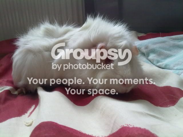 050820103235.jpg