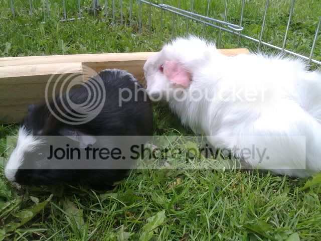 050820103247.jpg