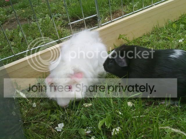 050820103257.jpg