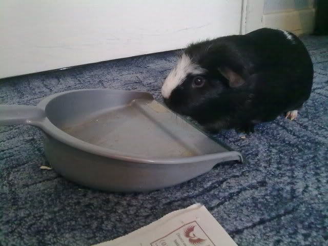 070420114781.jpg