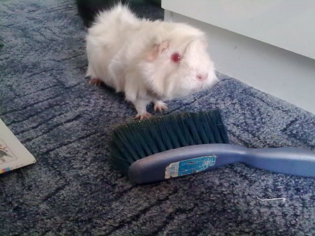070420114783.jpg