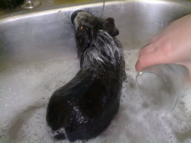 110720103071.jpg