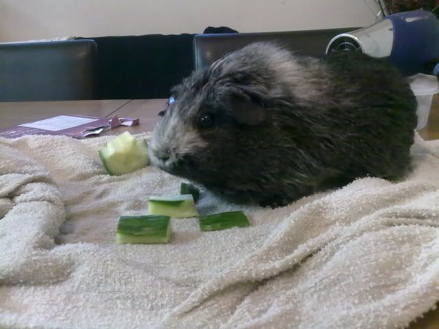 110720103078.jpg