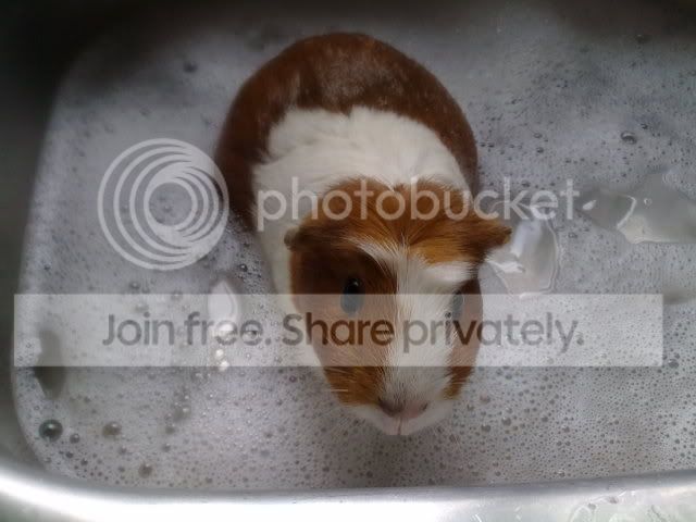 120320102346.jpg