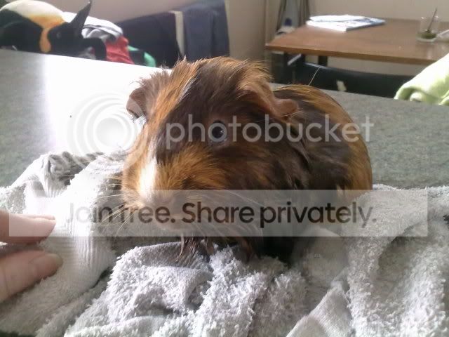 120320102348.jpg
