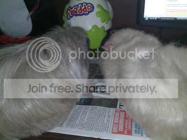 130120114223.jpg