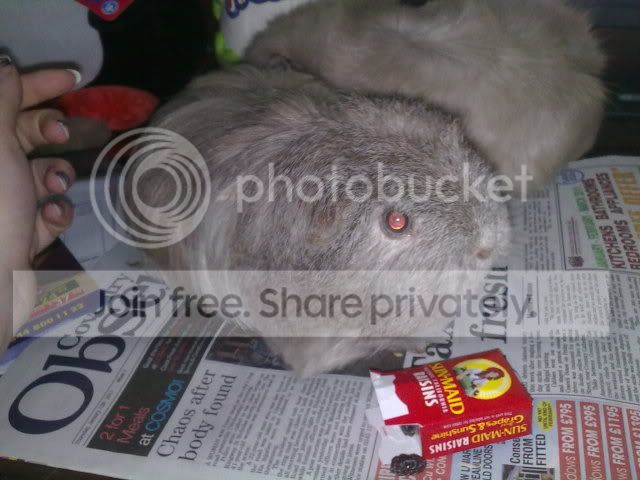130120114226.jpg