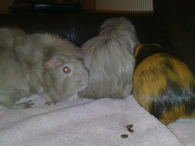 160220114350.jpg