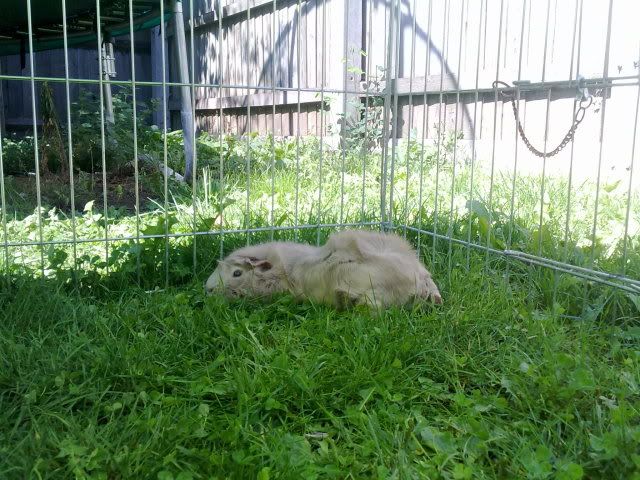 160820103278.jpg