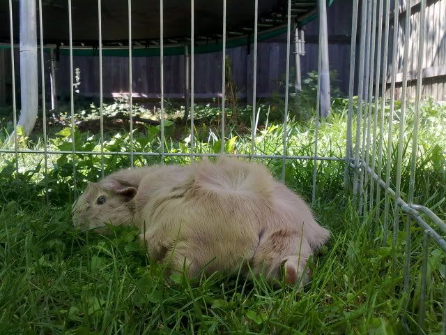 160820103282.jpg