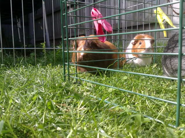 160820103289.jpg