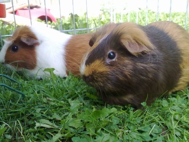 160820103291.jpg