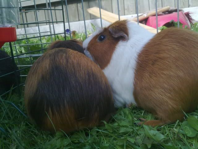 160820103293.jpg