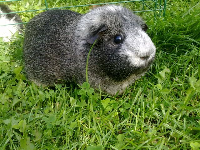 160820103297.jpg