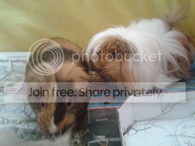 2011-10-06114952.jpg