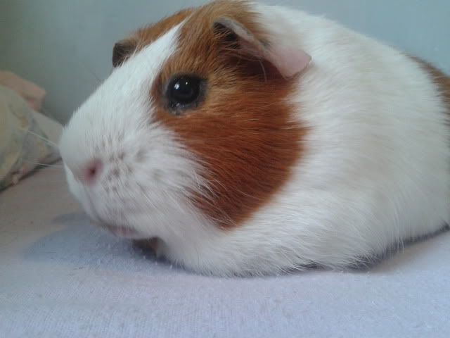 2011-10-13134743.jpg