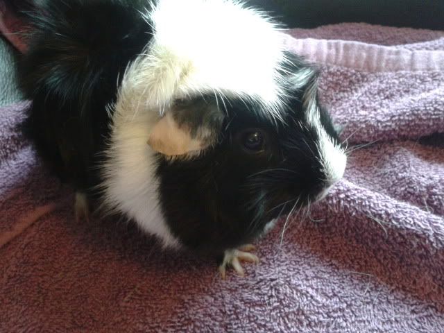 2011-12-15115442.jpg